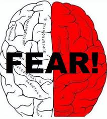 brain-and-fear