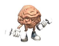 muscular-brain